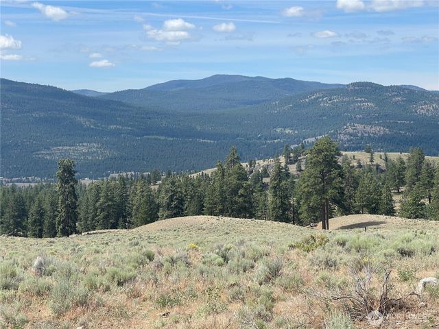 16 Breezy Lane, Tonasket, WA 98855