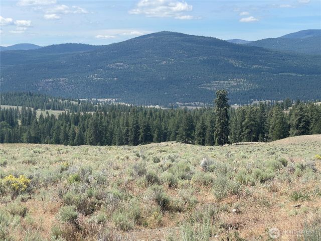 16 Breezy Lane, Tonasket, WA 98855