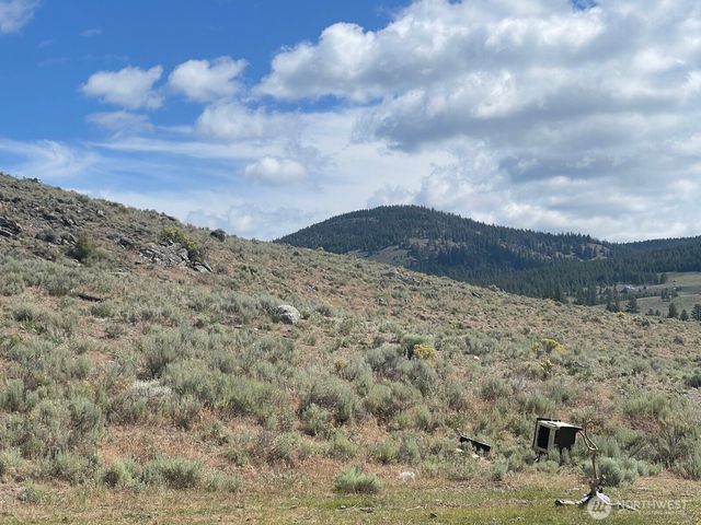 16 Breezy Lane, Tonasket, WA 98855