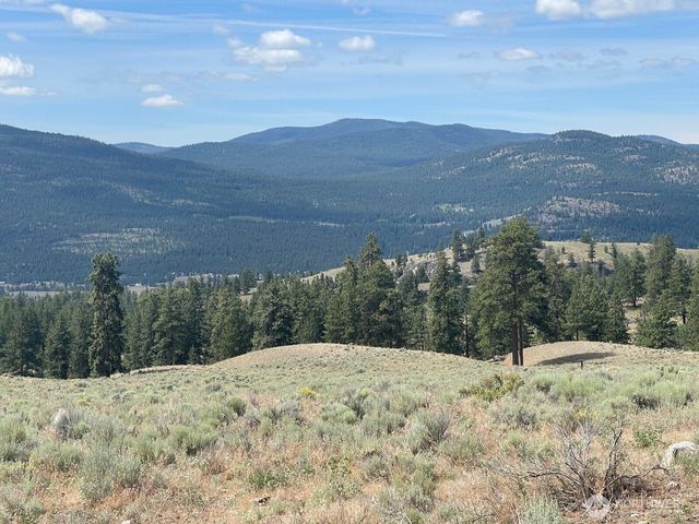 16 Breezy Lane, Tonasket, WA 98855