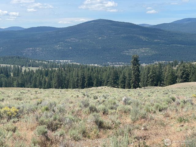 16 Breezy Lane, Tonasket, WA 98855