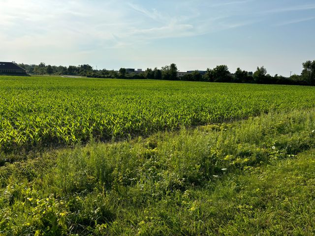 Hollywood Road, St. Joseph, MI 49085