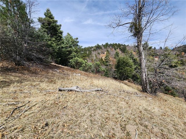 30914 Old City Creek Road, Running Springs, CA 92382