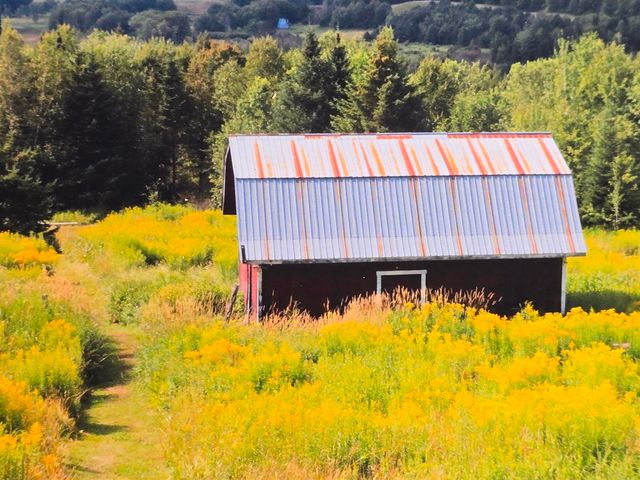 547 Center Hill Road, Albany, VT 05820