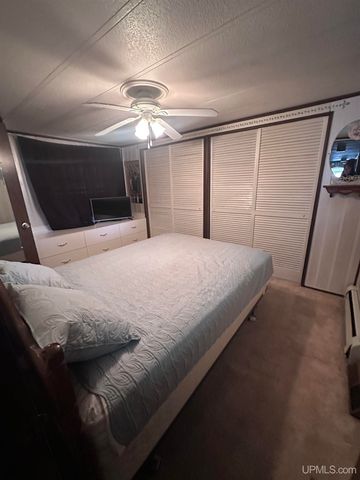 816 W Adams Street, Iron River, MI 49935