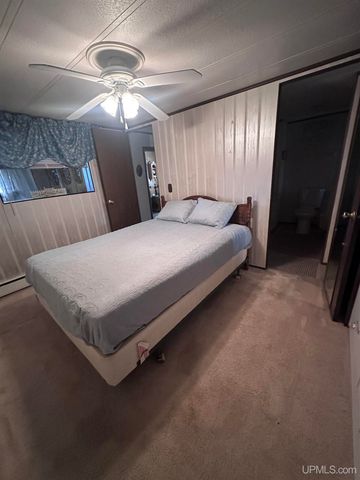 816 W Adams Street, Iron River, MI 49935