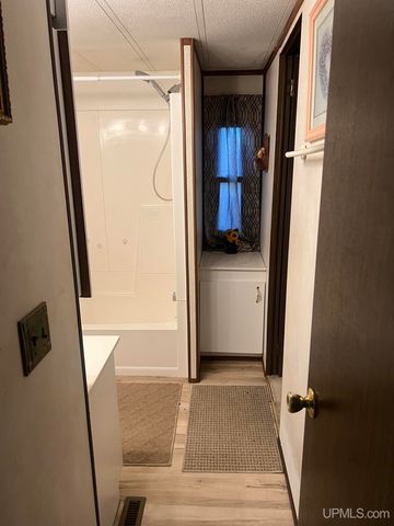 816 W Adams Street, Iron River, MI 49935