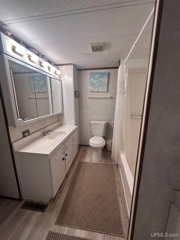 816 W Adams Street, Iron River, MI 49935