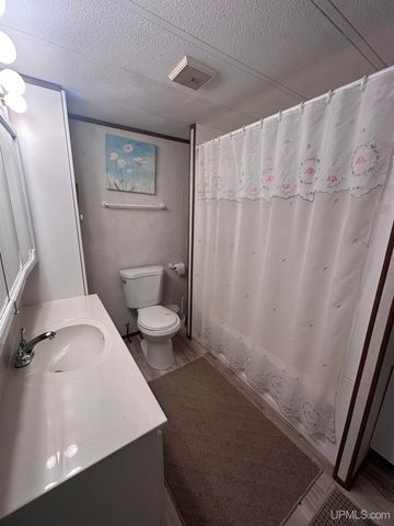 816 W Adams Street, Iron River, MI 49935