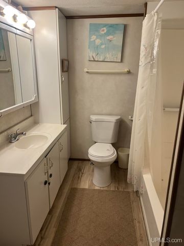 816 W Adams Street, Iron River, MI 49935