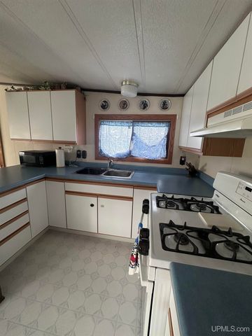 816 W Adams Street, Iron River, MI 49935