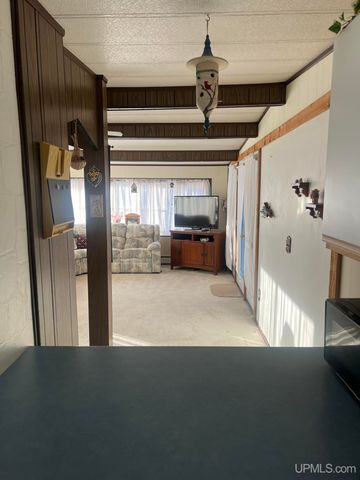 816 W Adams Street, Iron River, MI 49935