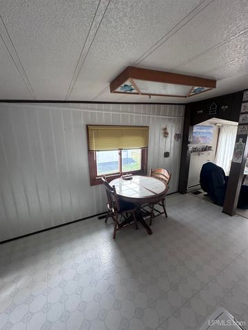 816 W Adams Street, Iron River, MI 49935