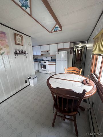 816 W Adams Street, Iron River, MI 49935