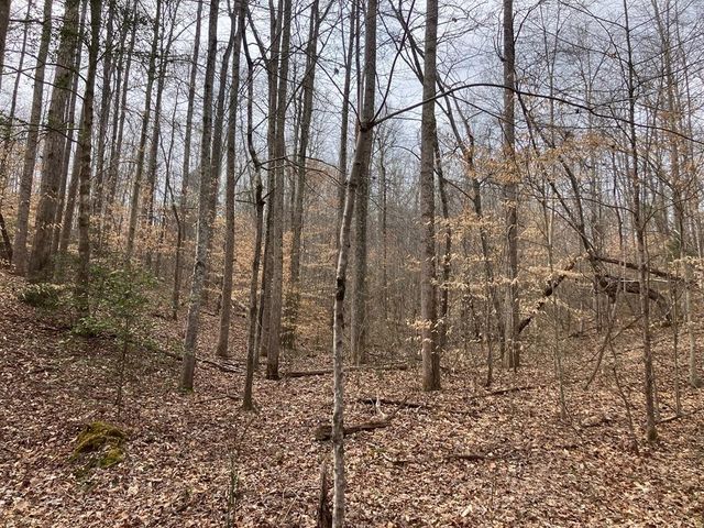 213 Wynn Ferry Rd, Big Sandy, TN 38221