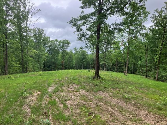 213 Wynn Ferry Rd, Big Sandy, TN 38221