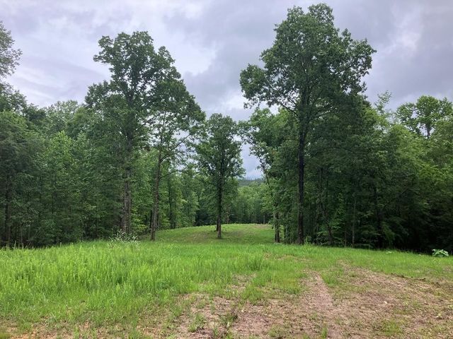 213 Wynn Ferry Rd, Big Sandy, TN 38221