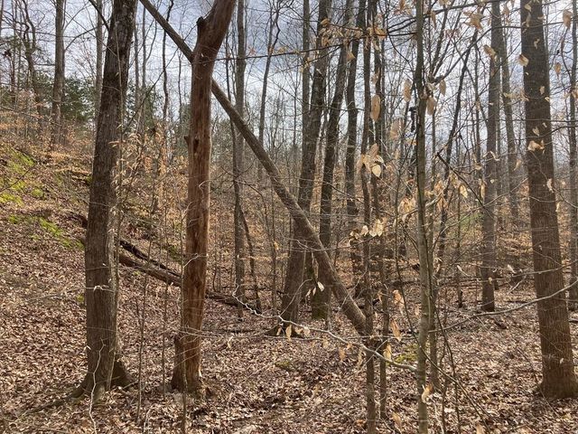 213 Wynn Ferry Rd, Big Sandy, TN 38221