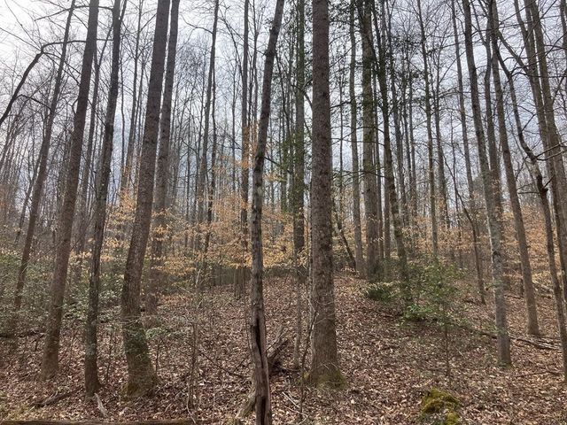 213 Wynn Ferry Rd, Big Sandy, TN 38221