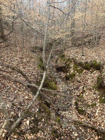 213 Wynn Ferry Rd, Big Sandy, TN 38221