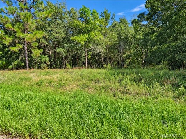 1379 W Hialeah Drive, Dunnellon, FL 34434