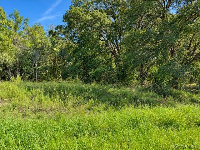 1379 W Hialeah Drive, Dunnellon, FL 34434