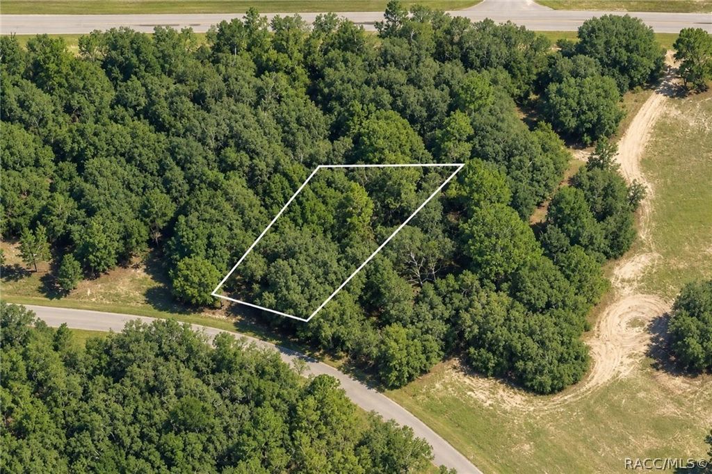 1379 W Hialeah Drive, Dunnellon, FL 34434