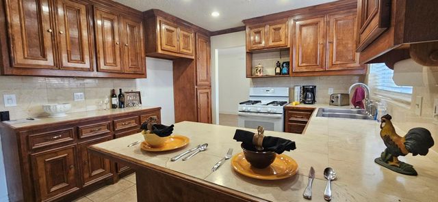 13303 Bridgepath Court, Houston, TX 77041