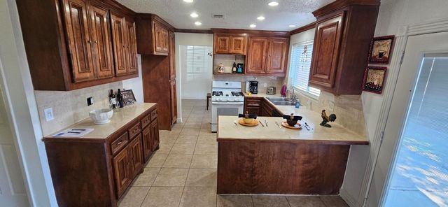13303 Bridgepath Court, Houston, TX 77041