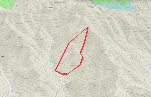 999 Cullisia Road, Bryson City, NC 28713