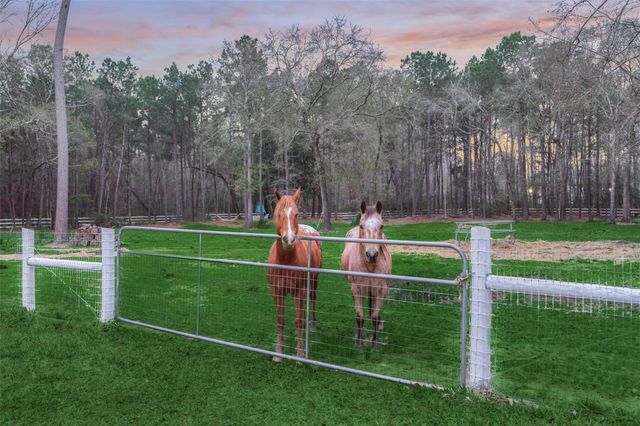7403 Ponderosa Drive, Magnolia, TX 77354