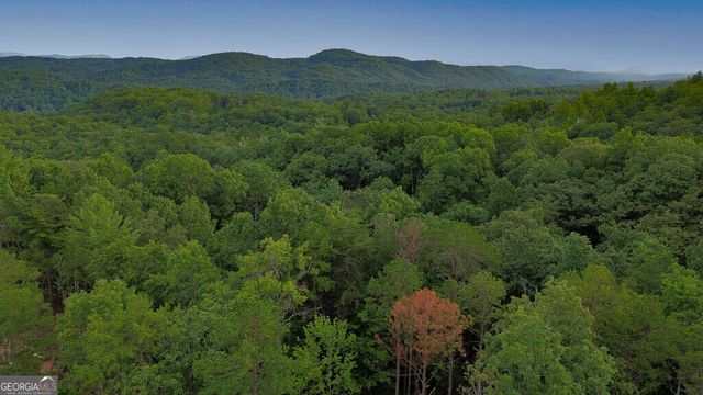 LOT 6 Allaire Lane, Mineral Bluff, GA 30559