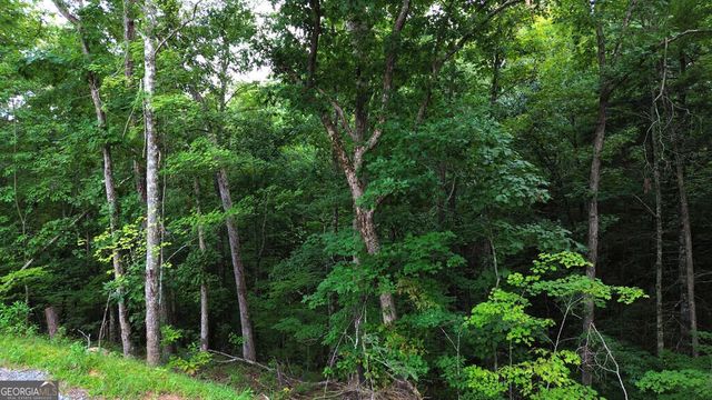 LOT 6 Allaire Lane, Mineral Bluff, GA 30559