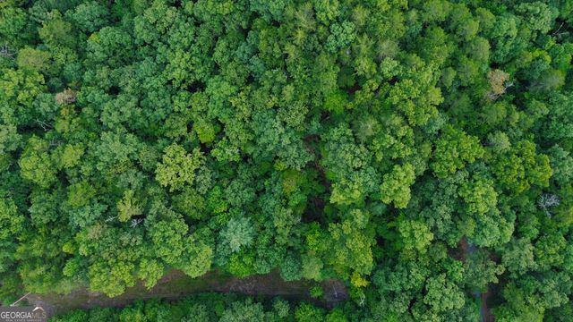 LOT 6 Allaire Lane, Mineral Bluff, GA 30559