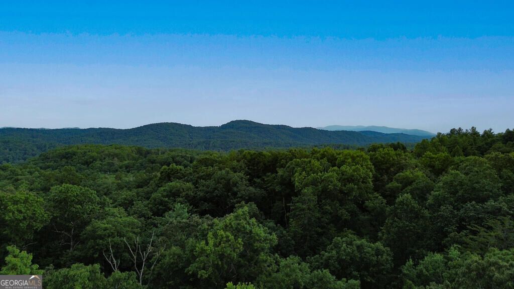 LOT 6 Allaire Lane, Mineral Bluff, GA 30559