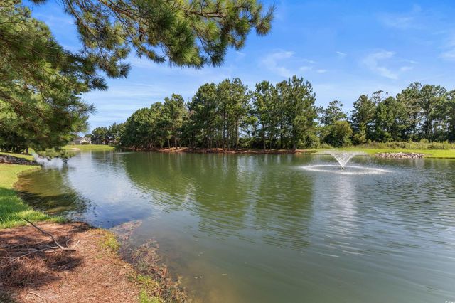 329 Blue Rock Dr., Longs, SC 29568