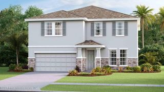 11207 Duckling Way, Weeki Wachee, FL 34613