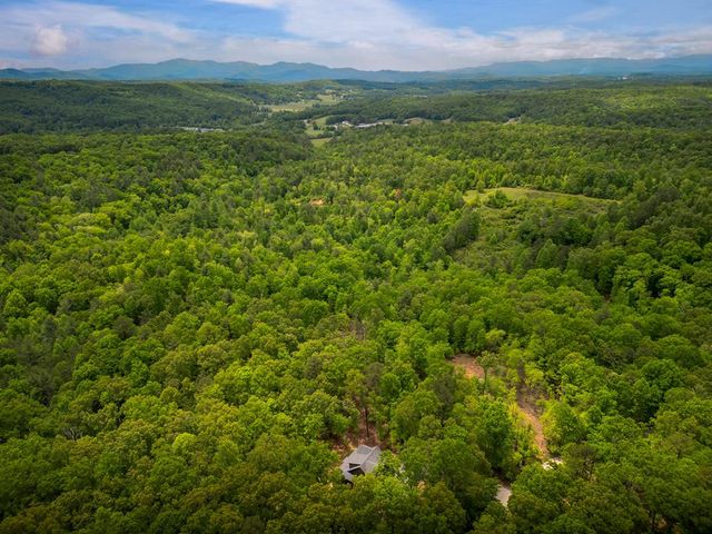 375 Ridge Brook Drive, Morganton, GA 30560