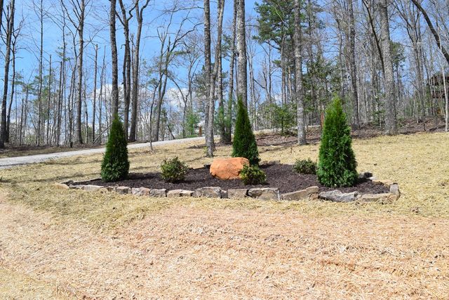 375 Ridge Brook Drive, Morganton, GA 30560