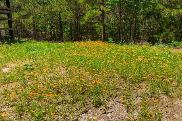 224 Pine Valley DR, Paige, TX 78659