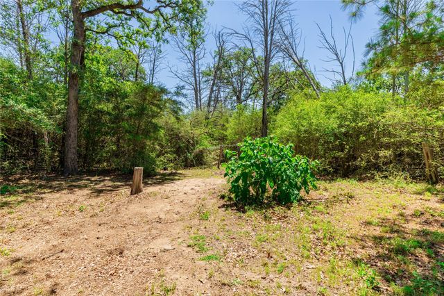 224 Pine Valley DR, Paige, TX 78659