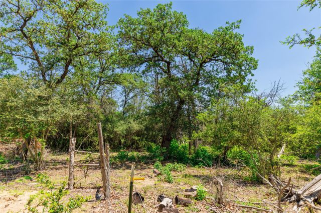 224 Pine Valley DR, Paige, TX 78659