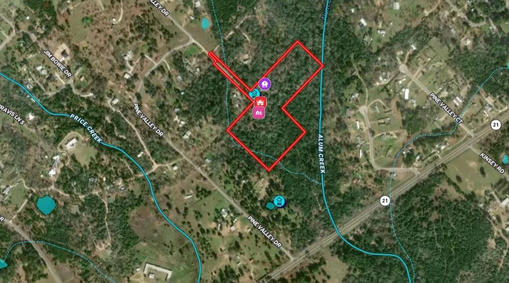 224 Pine Valley DR, Paige, TX 78659