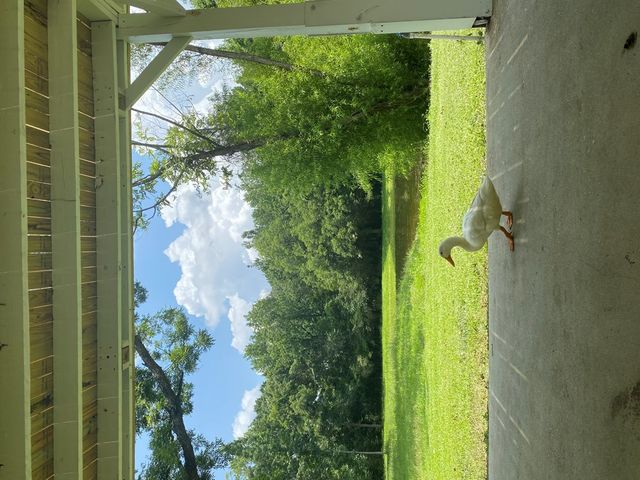 1424 Midland Michigan Dr, Midland City, AL 36350