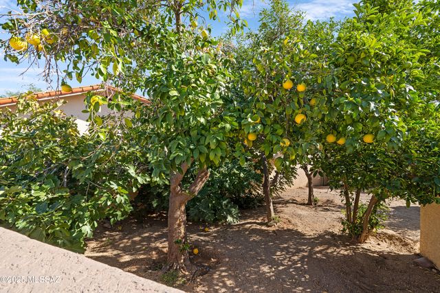 8513 N Nob Hill Drive, Tucson, AZ 85742