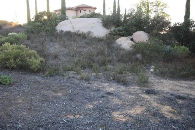 Little Canyon, Escondido, CA 92026