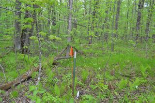 Tax ID #34696 Cornwall Road, Winter, WI 54896