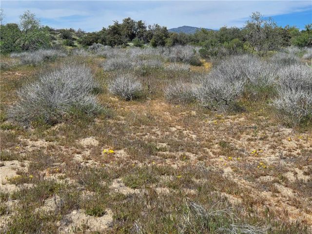 4 Fletcher, Anza, CA 92539