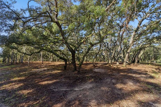 17206 RED BIRD ROAD, Winter Garden, FL 34787
