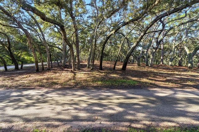 17206 RED BIRD ROAD, Winter Garden, FL 34787